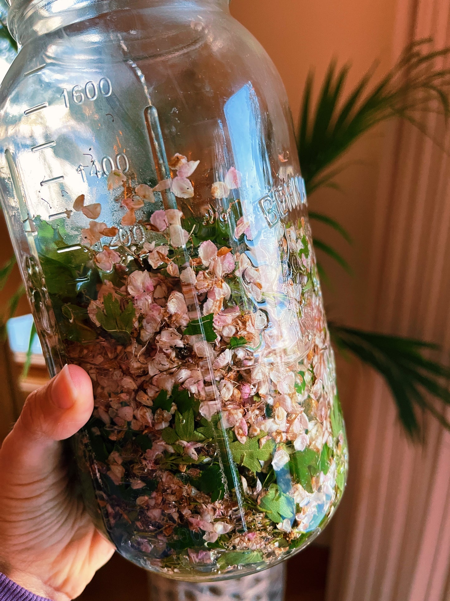Heart Song {Love + Grief + Protection} Tincture