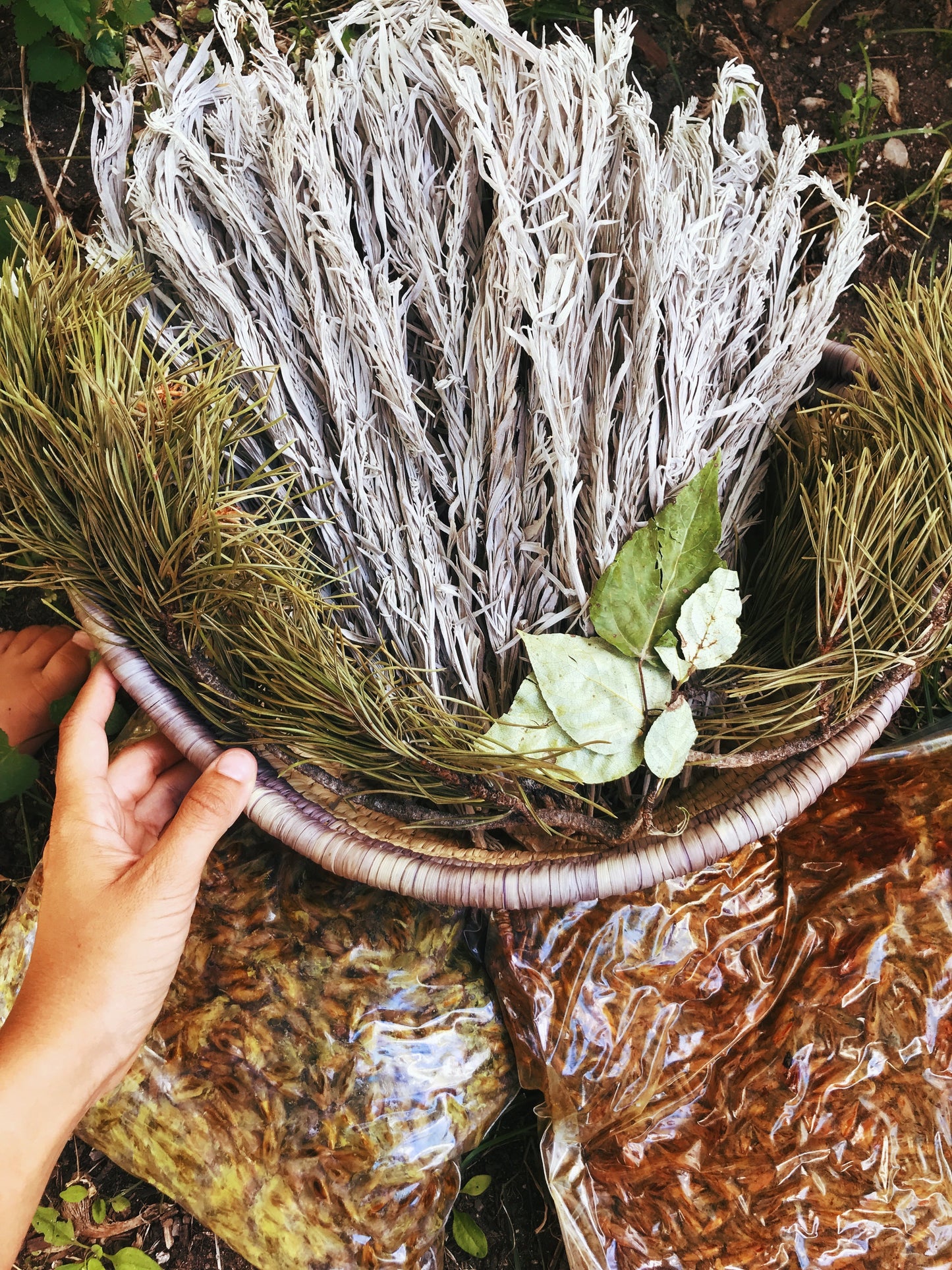 Sacred Space Smokeless Smudge Spray (Cedar + Sagebrush)