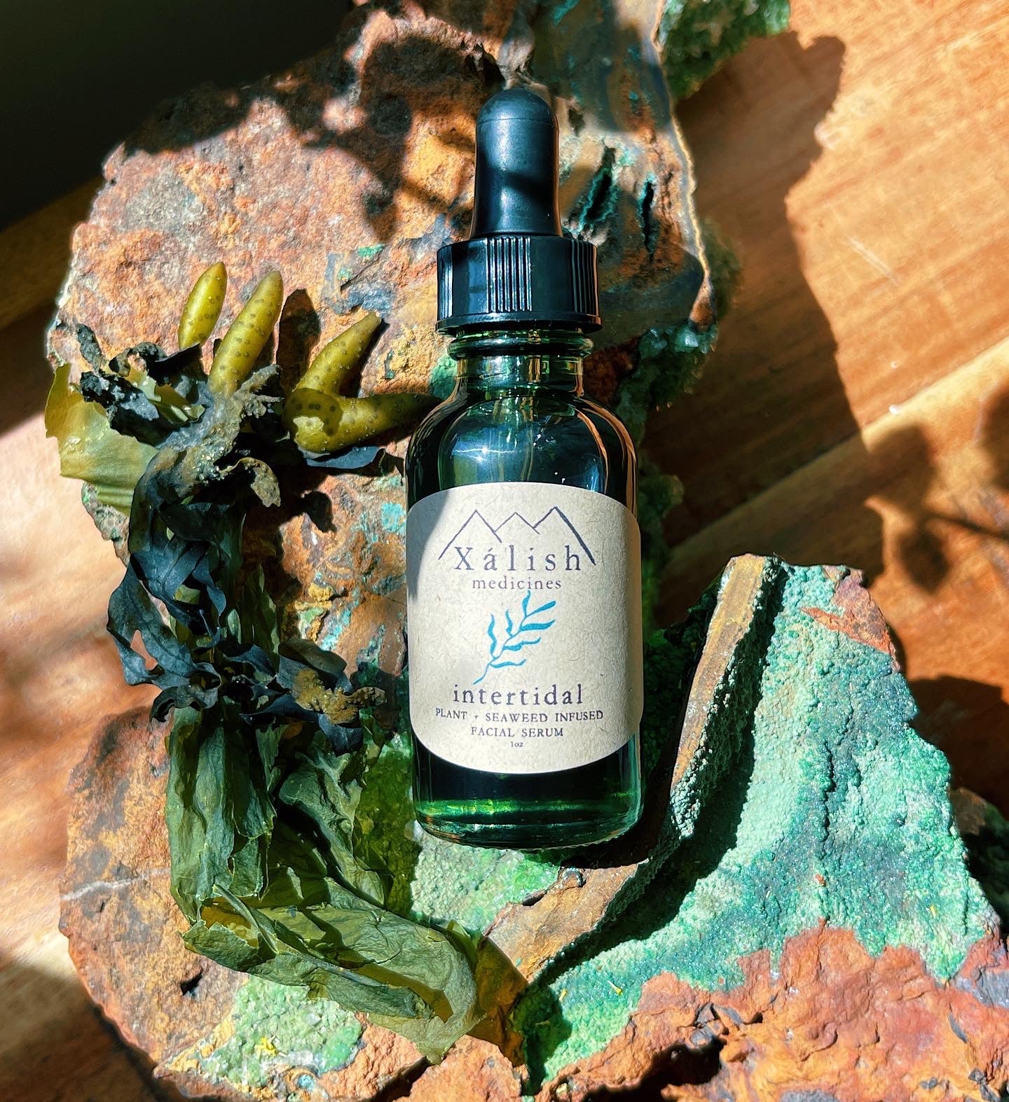 Rejuvenating facial Serum with Seaweed + Blue Tansy ~ Intertidal