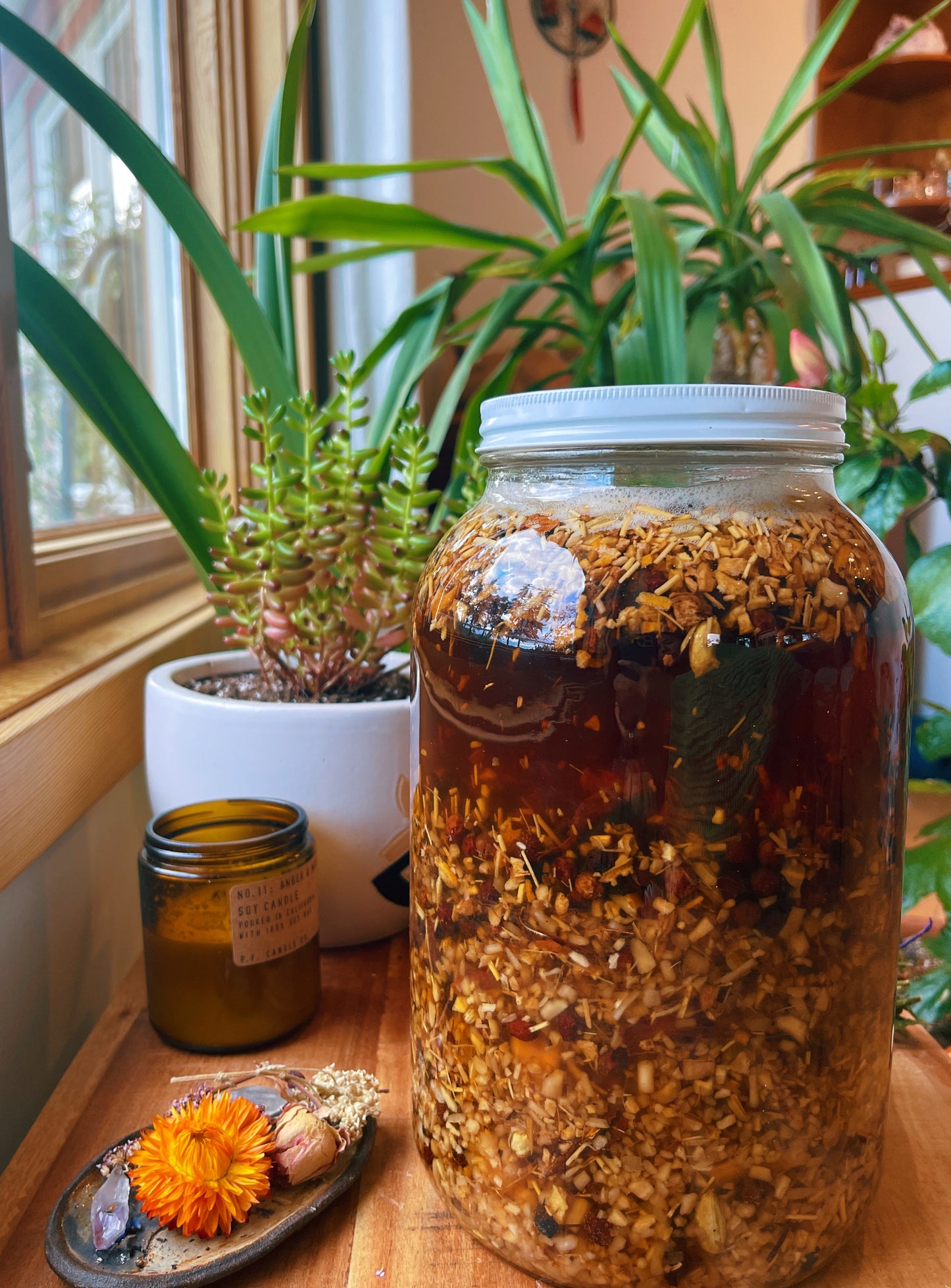Nectar of Life: Hormone Balancing + Vitality + Womb Healing