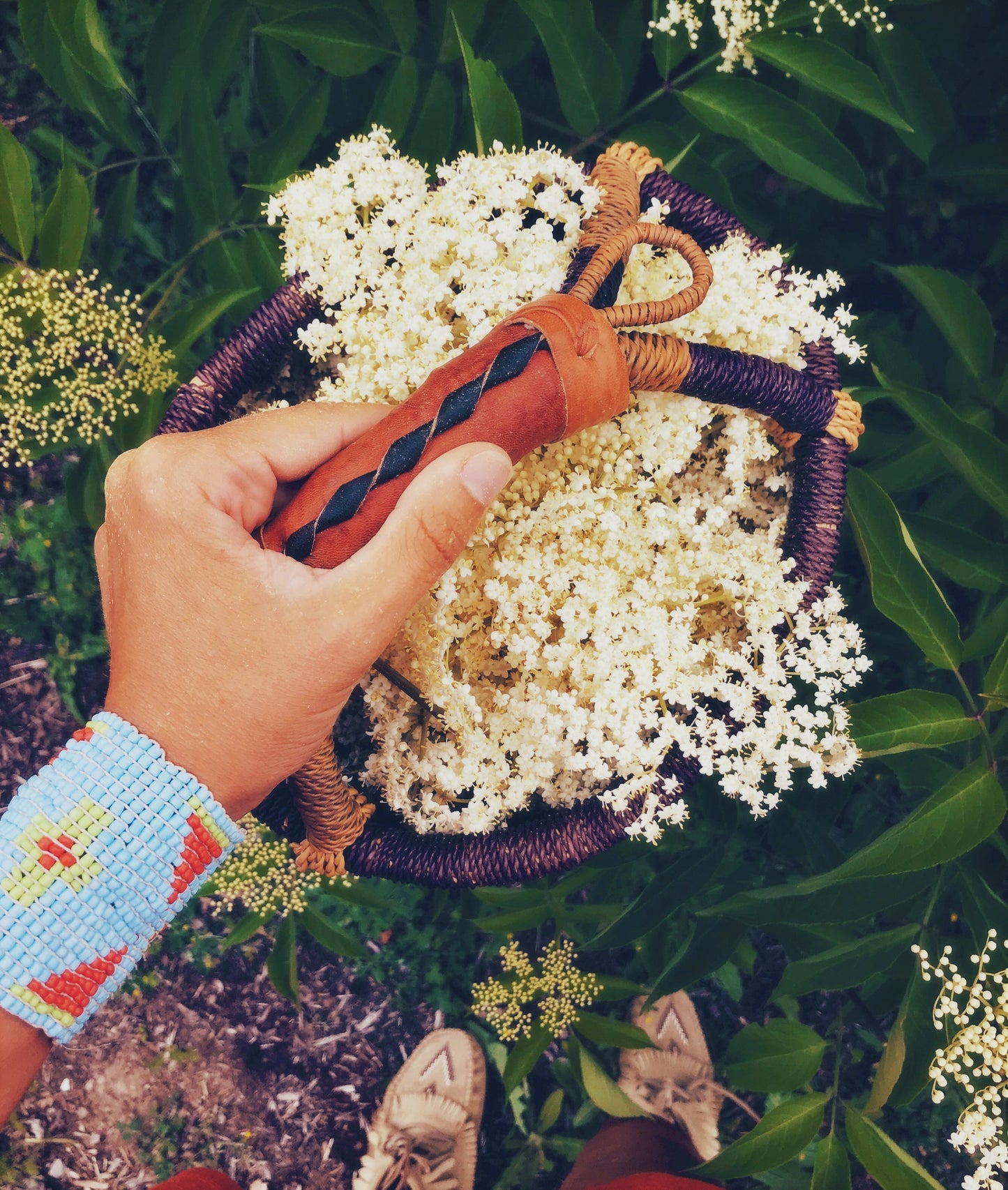 Transitions Flower Essence