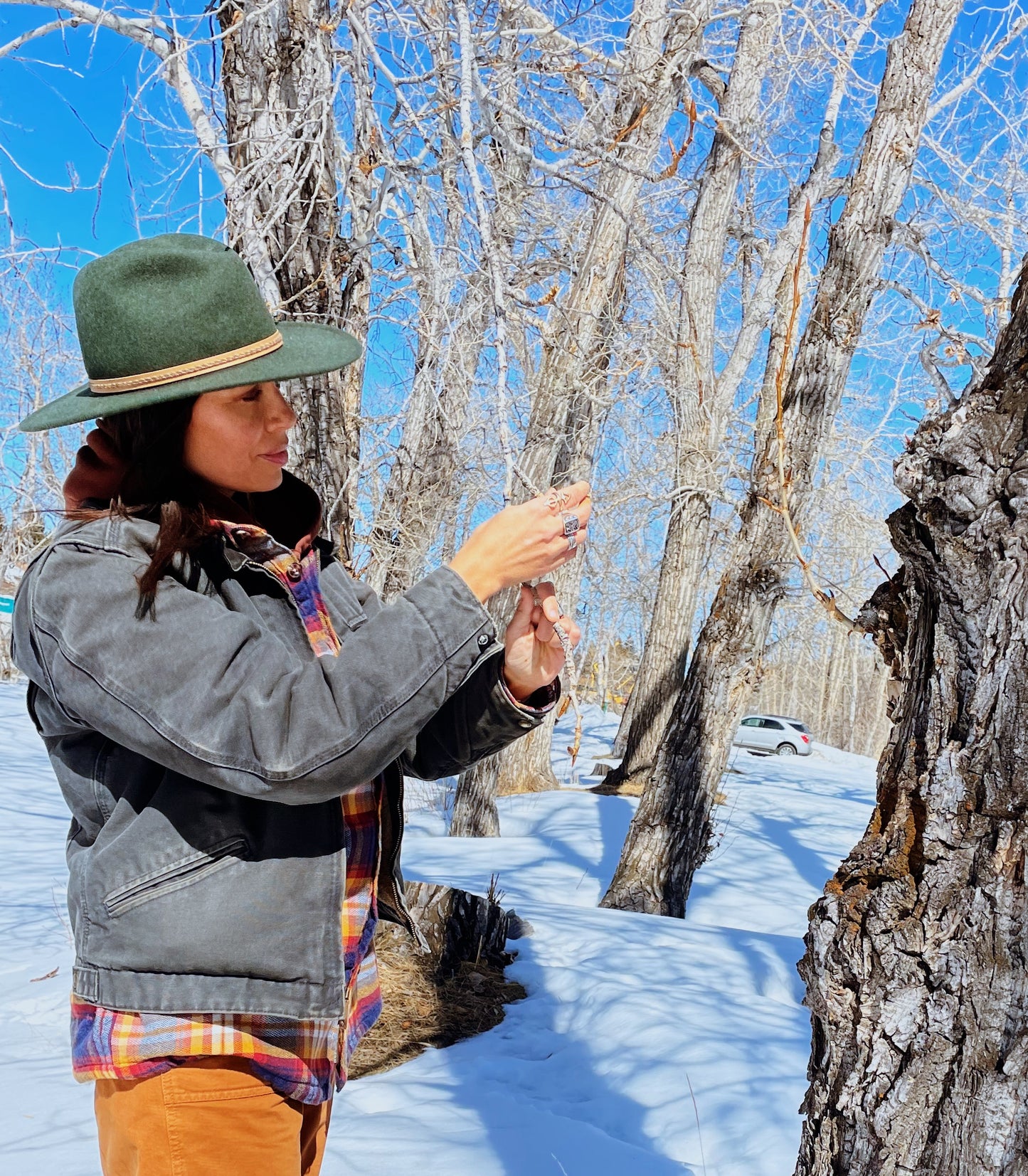 Makwa {Cottonwood Bud + Birch } Salve Muscle ache relief, protection + chest rub