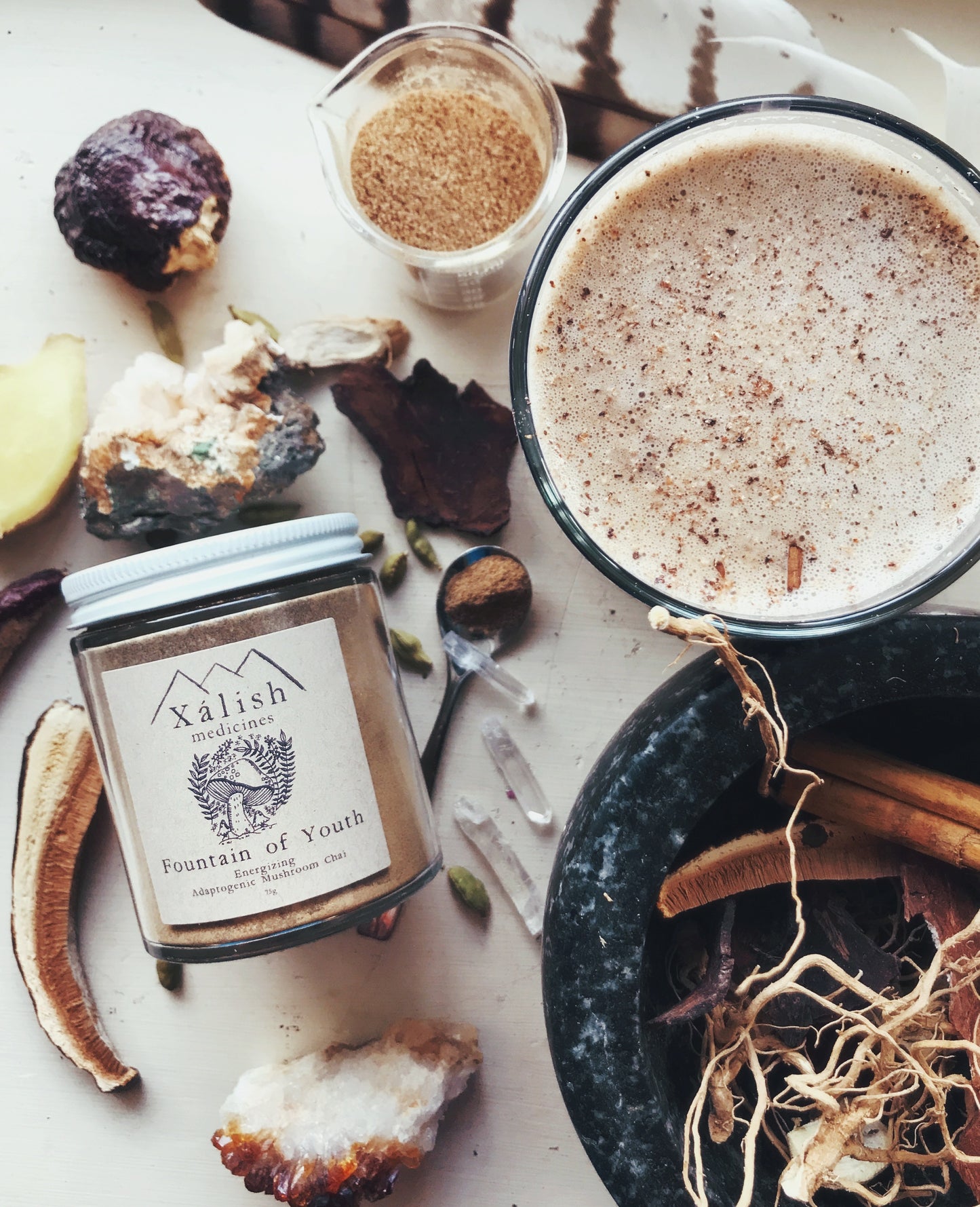 Mushroom Chai Adaptogenic Elixir {Energizing & healthy aging}