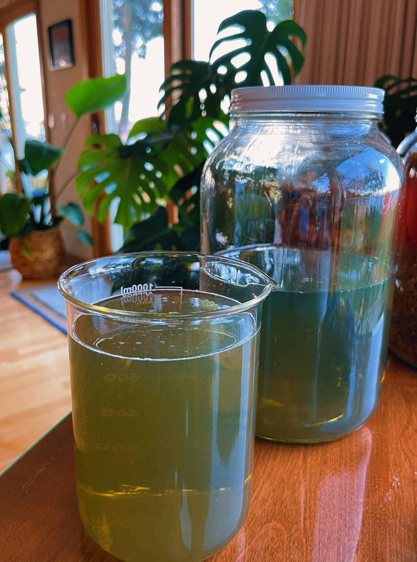 Sweetgrass + Rose Energy Aligning Spray