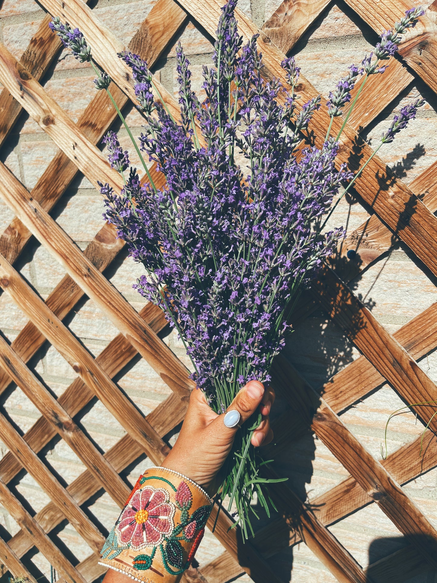 Calm {anxiety support} with Lavender, fresh Milky Oats, Skullcap & Catnip