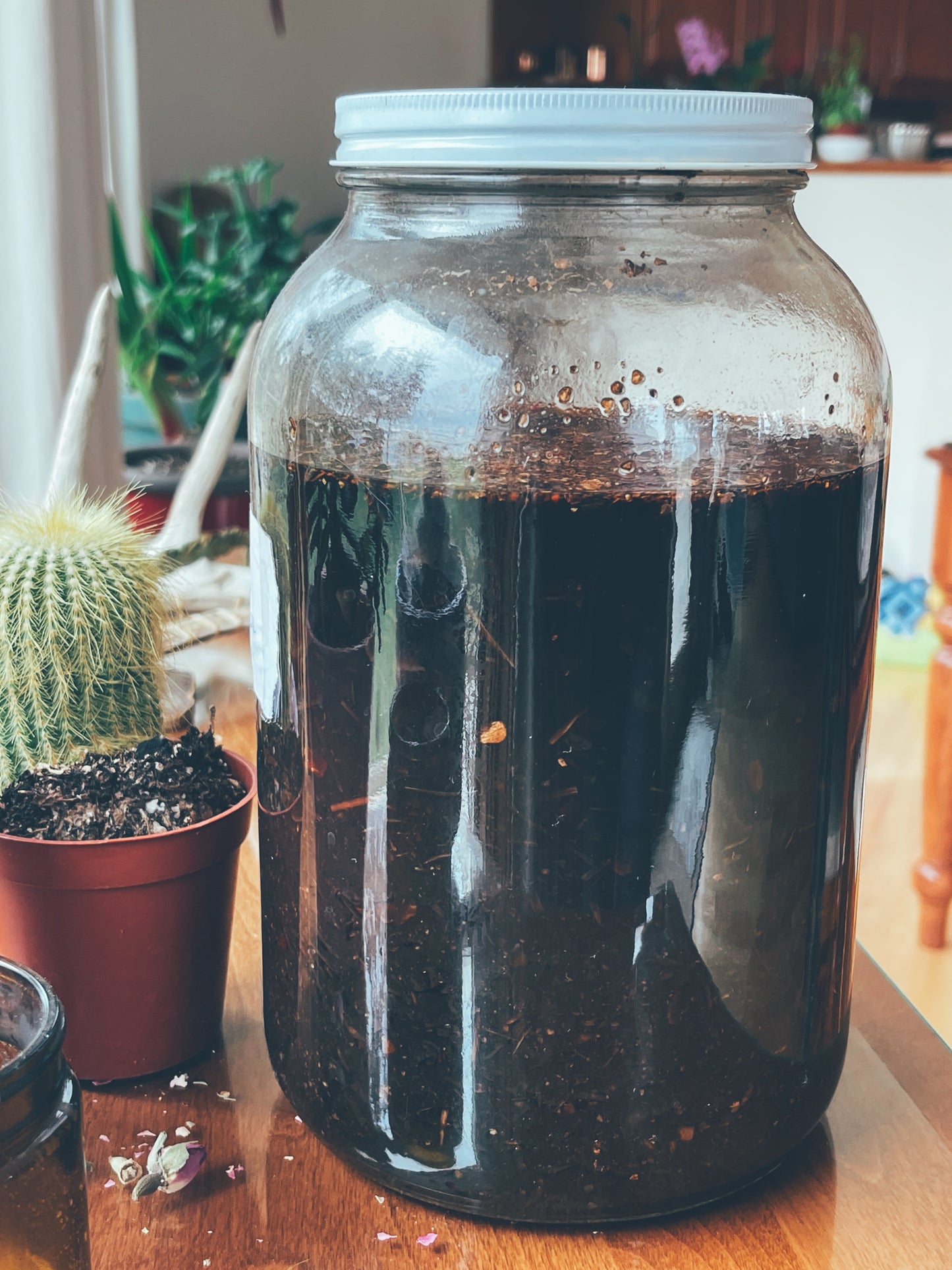 Memories of the Womb (Moontime + Womb healing herbal remedy)