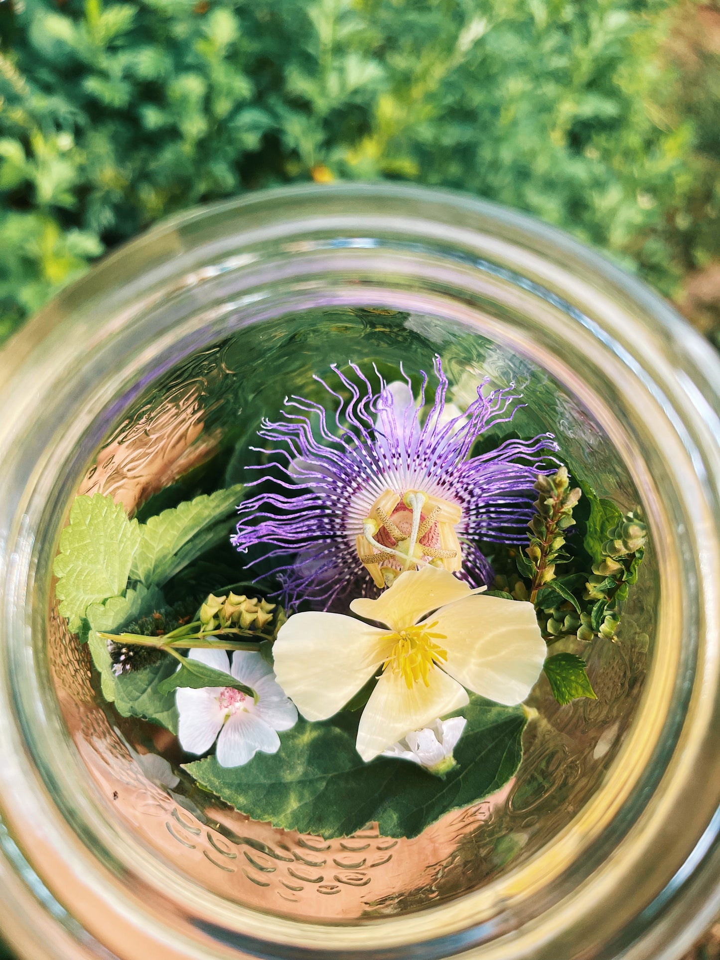 Spirit Moon│Herbal Sleep, Peace & Dream syrup Elixir