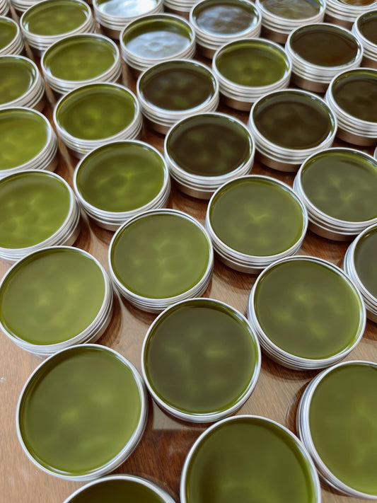 Wormwood {Visioning + Pain} Relief Salve