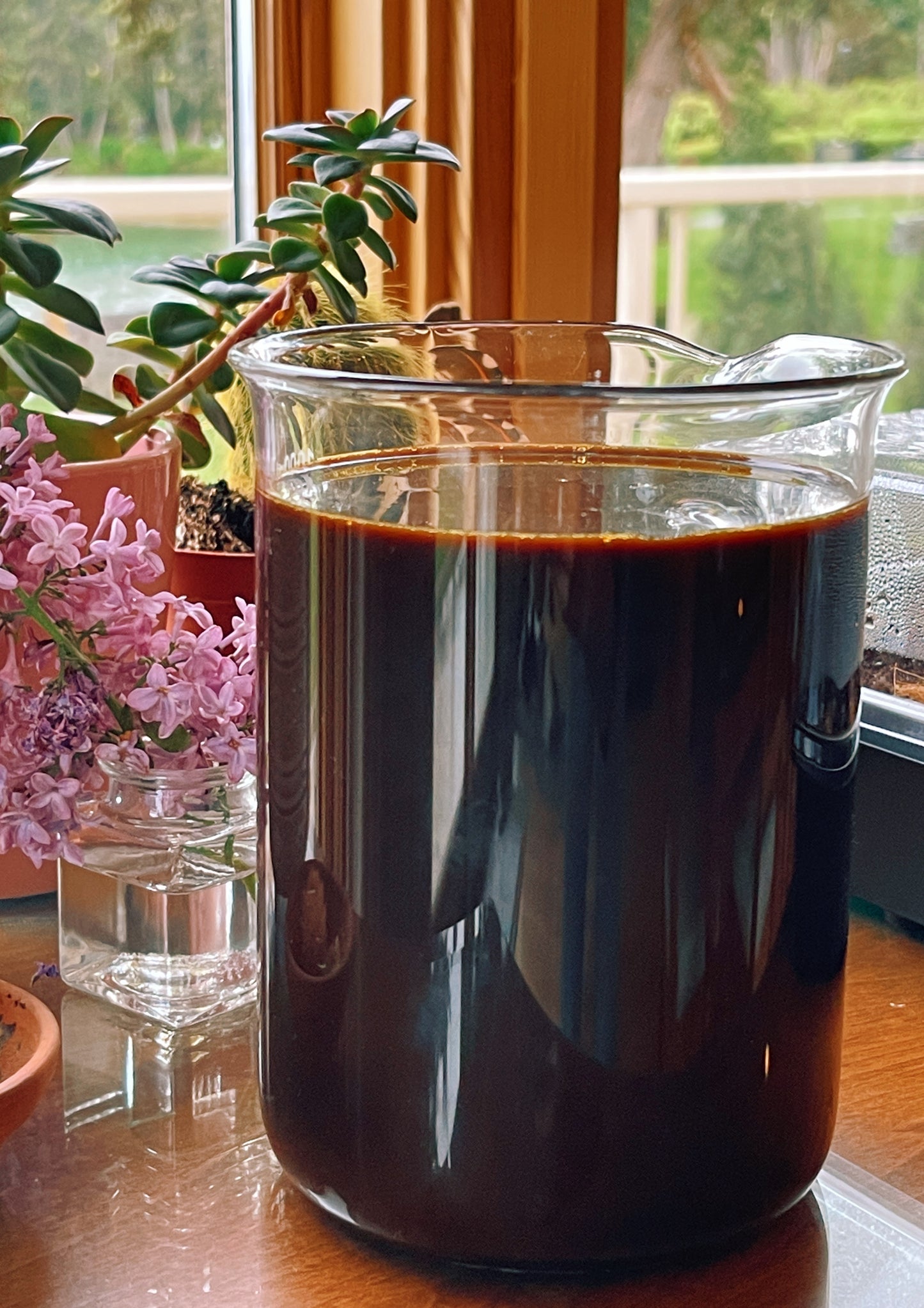 Tilíwal {Blood Building + Nutritive} Elixir
