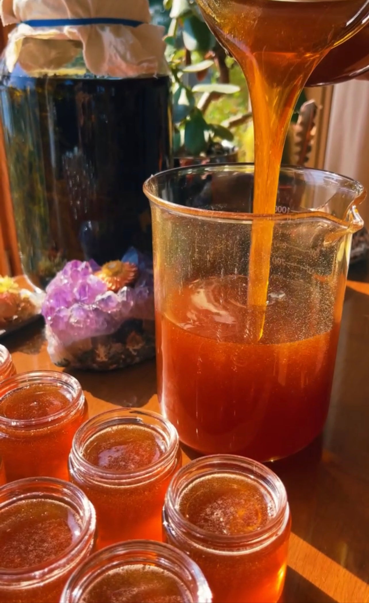 Burdock Honey {nourishment + gut healing + liver support}