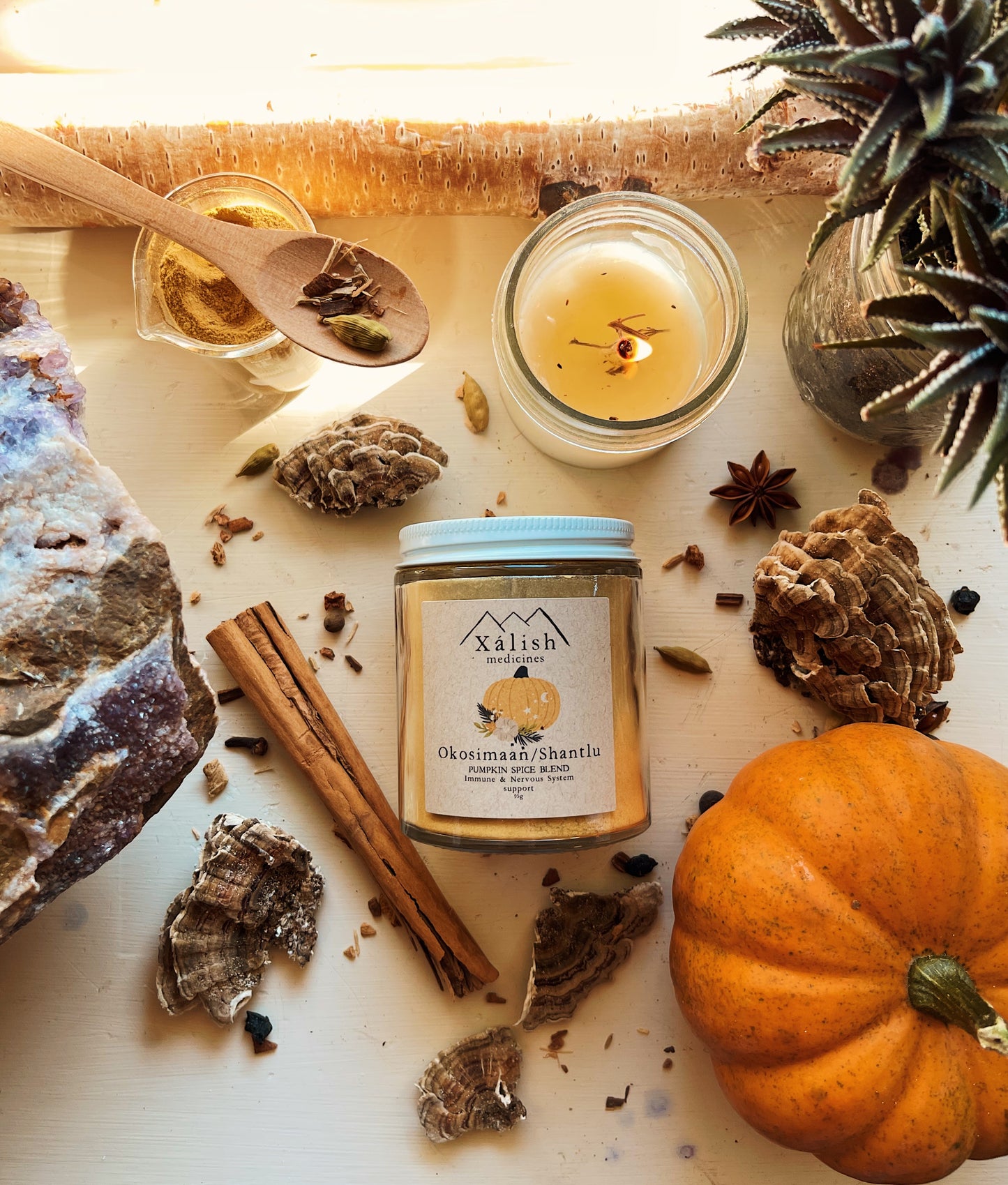 Pumpkin Spice Adaptogenic Elixir