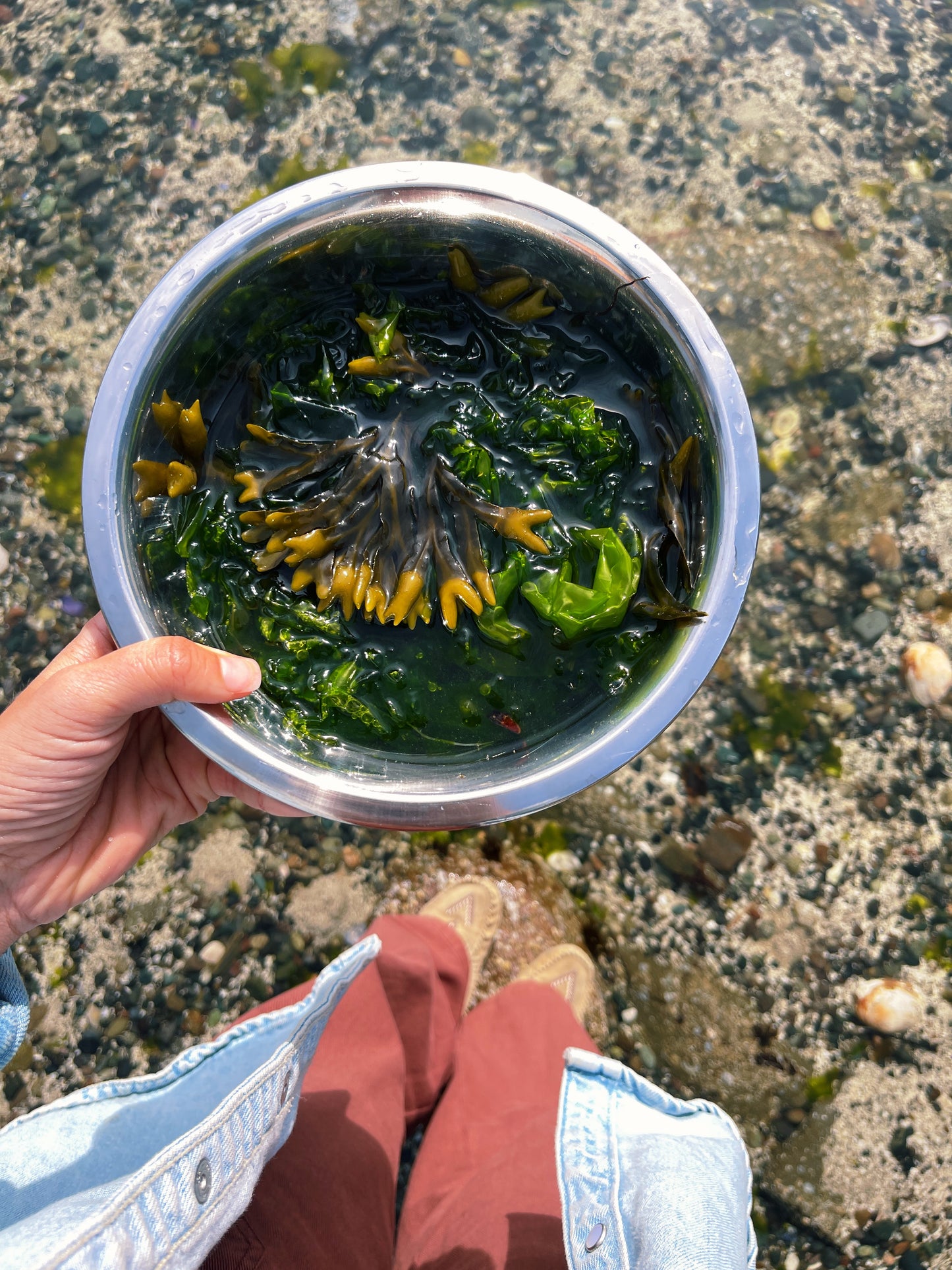 Sea Hair {strengthen + shine} Seaweed infused Hair Oil