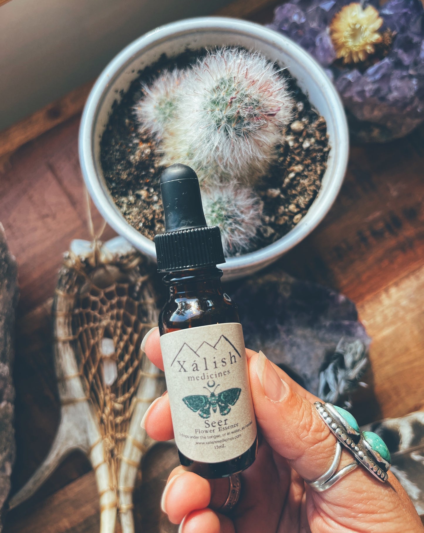 Seer Flower Essence {Passionflower, Cactus Flower, Artemisia absinthum, Angelica & Moonstone gem essence}