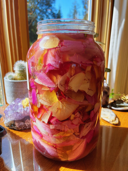 Magnolia Flower elixir {heart expansion, joy, integration, allergies, digestion, anxiety support}