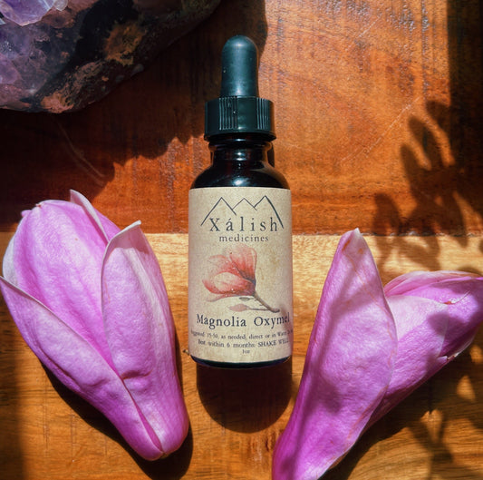 Magnolia Flower elixir {heart expansion, joy, integration, allergies, digestion, anxiety support}