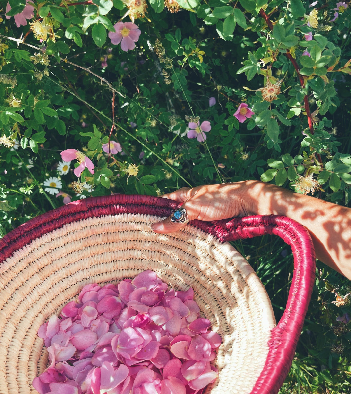 🌸 Held by Flowers Salve 💐