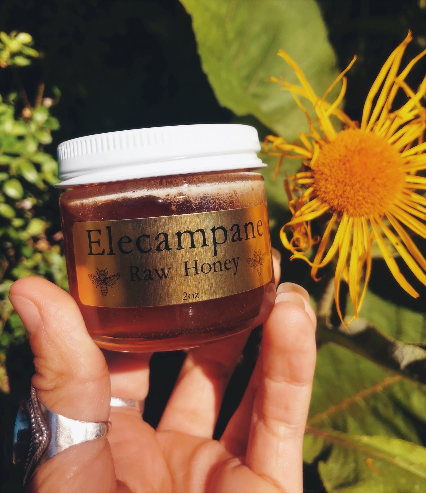 Elecampane Honey