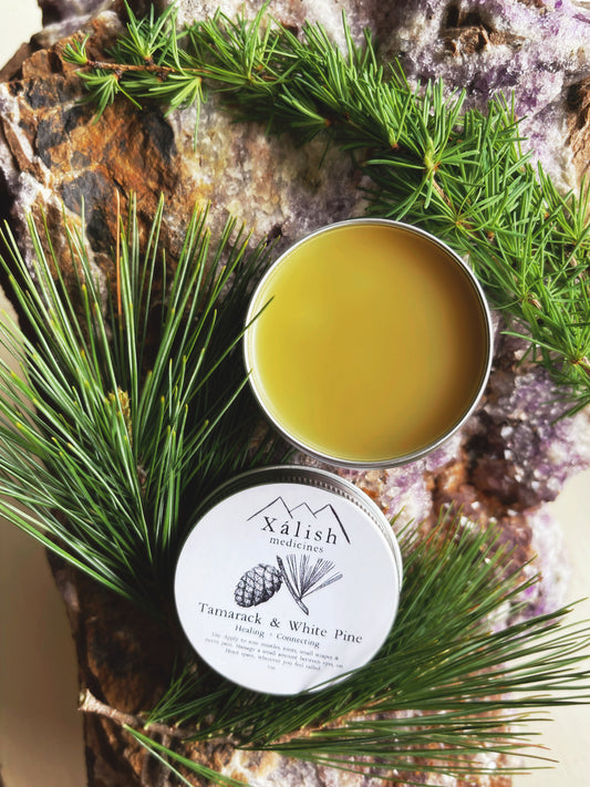 Tamarack {Larch} + White Pine Salve