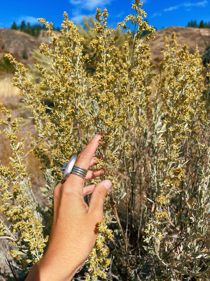 Sacred Space Smokeless Smudge Spray (Cedar + Sagebrush)