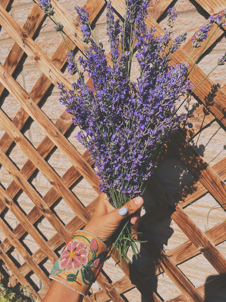 Lavandula Elixir: Adaptogenic elixir to focus + center