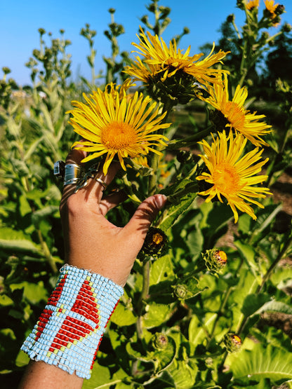 Elecampane Honey