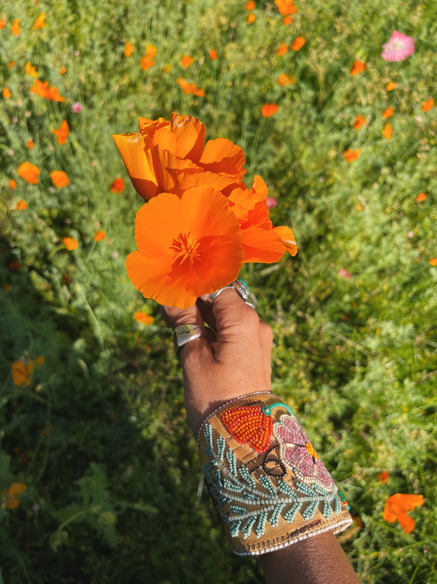 🌸 Held by Flowers Salve 💐