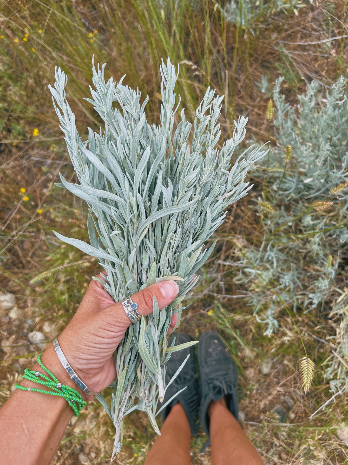 Sacred Space Smokeless Smudge Spray (Cedar + Sagebrush)