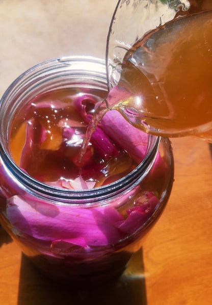 Magnolia Flower elixir {heart expansion, joy, integration, allergies, digestion, anxiety support}