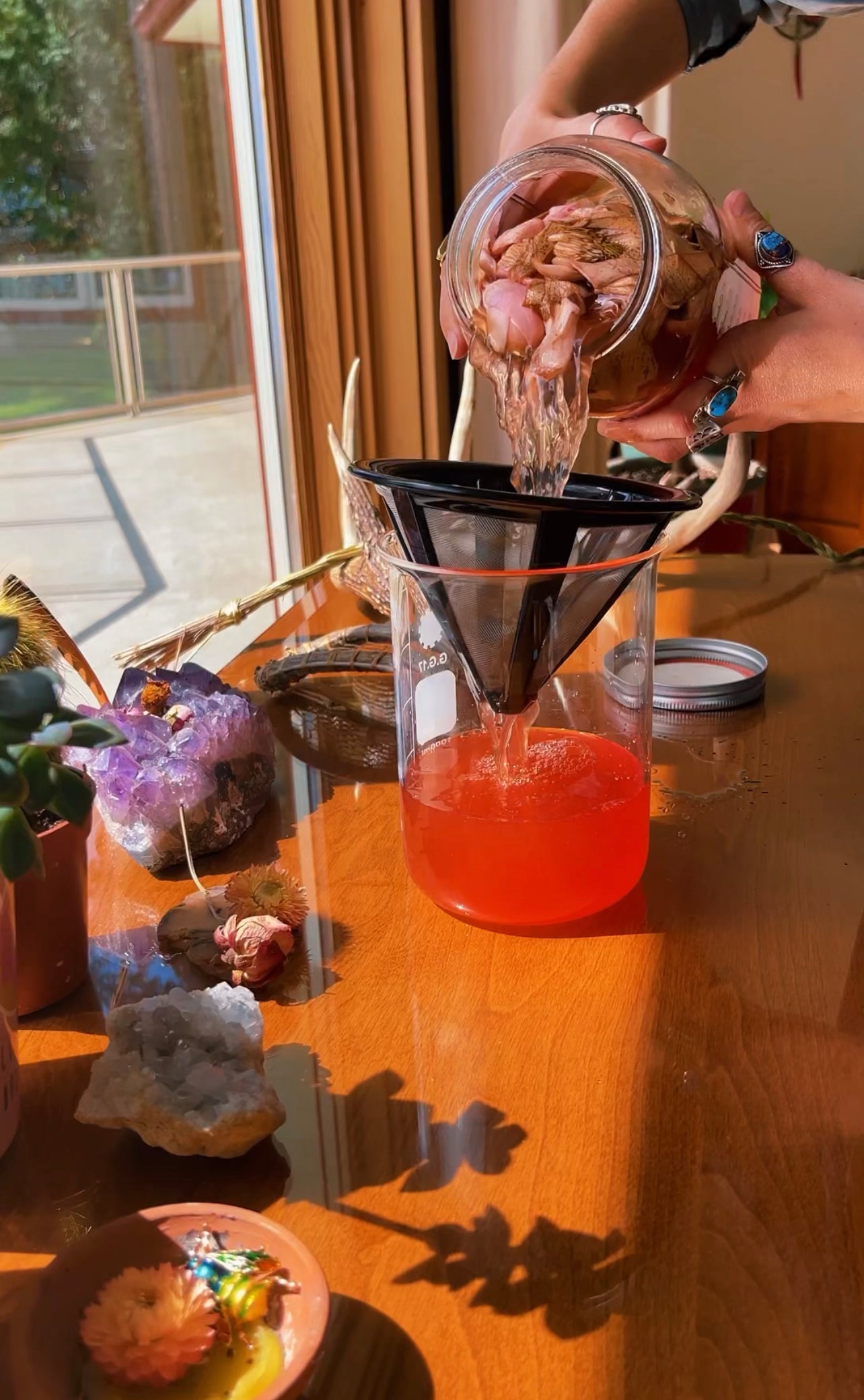 Magnolia Flower elixir {heart expansion, joy, integration, allergies, digestion, anxiety support}