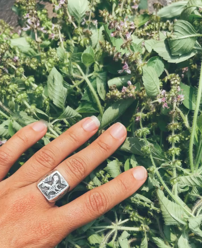 Lavandula Elixir: Adaptogenic elixir to focus + center