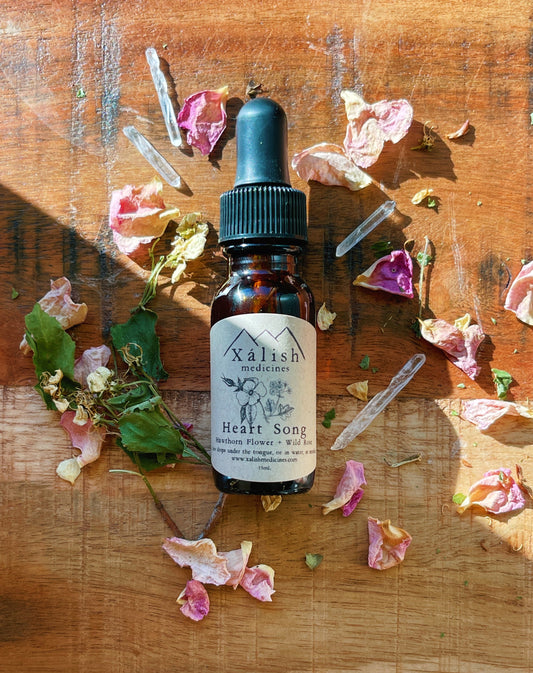 Heart Song {Love + Grief + Protection} Tincture