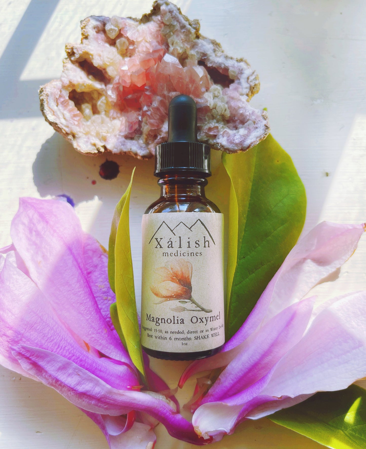 Magnolia Flower elixir {heart expansion, joy, integration, allergies, digestion, anxiety support}