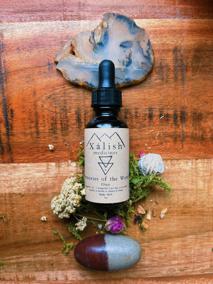 Memories of the Womb (Moontime, Hormone + Womb supportive herbal remedy)