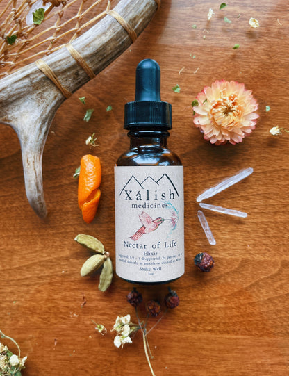 Nectar of Life: Hormone Balancing + Vitality + Womb Healing
