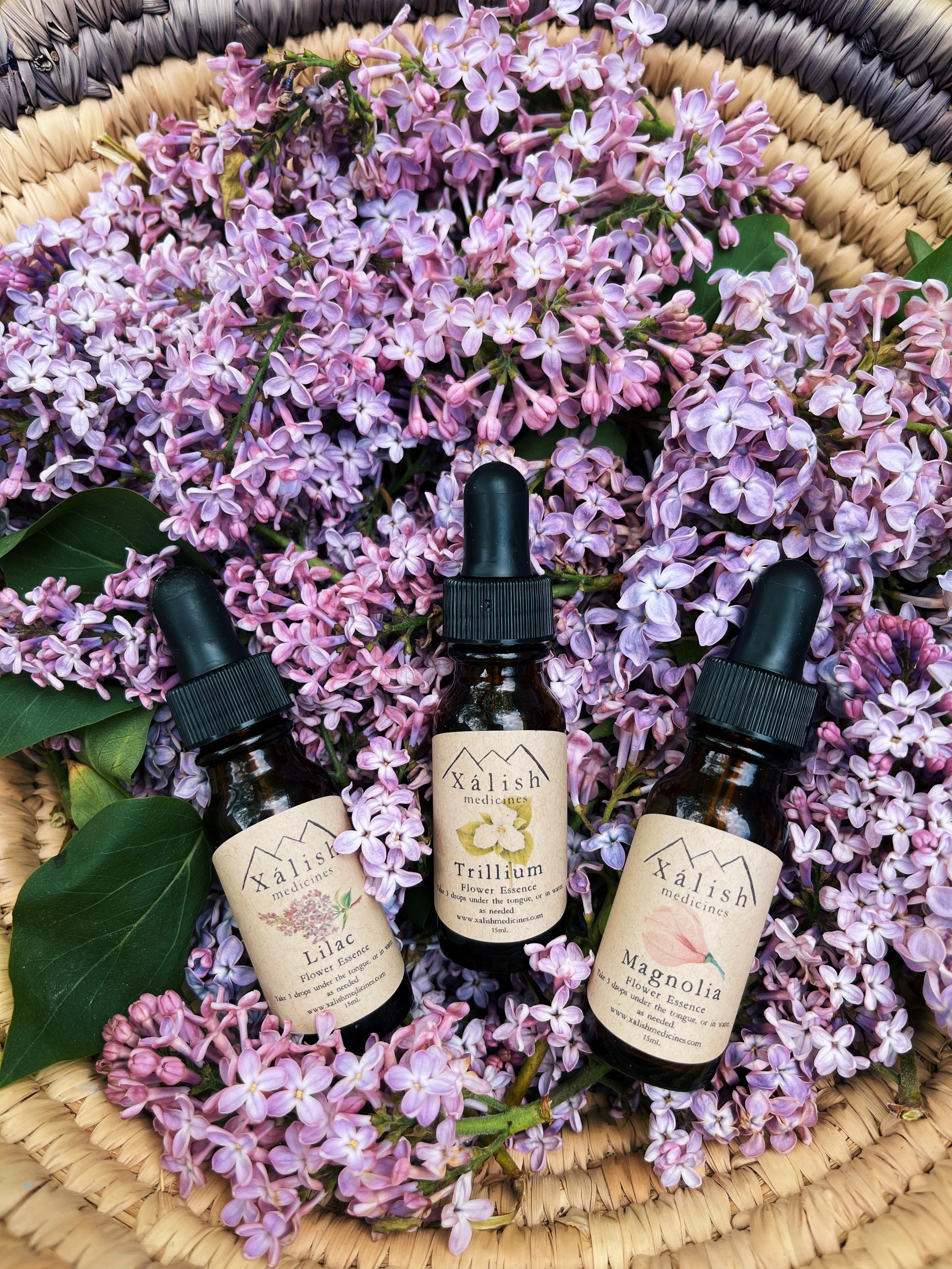 Shop All – Xálish Medicines